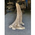 画像1: 【特大流木】南信州産 源流淡水 天然流木（ 約９９×６６×４０cm）大型流木 特大流木 大きな流木  根流木 (1)