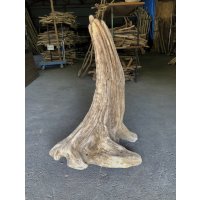 【特大流木】南信州産 源流淡水 天然流木（ 約９９×６６×４０cm）大型流木 特大流木 大きな流木  根流木