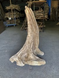 【特大流木】南信州産 源流淡水 天然流木（ 約９９×６６×４０cm）大型流木 特大流木 大きな流木  根流木