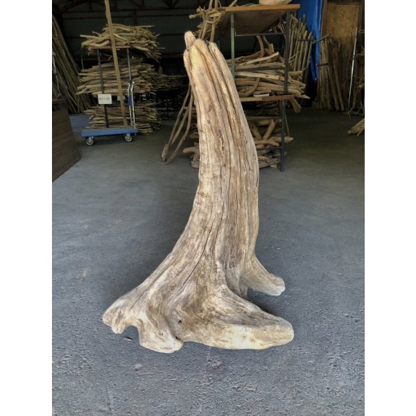 画像1: 【特大流木】南信州産 源流淡水 天然流木（ 約９９×６６×４０cm）大型流木 特大流木 大きな流木  根流木