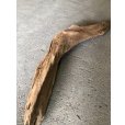 画像2: 【特大流木】南信州産 源流淡水 天然流木（ 約１０２×８〜１７cm）大型流木 特大流木 大きな流木 (2)