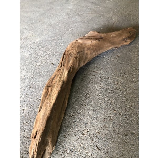 画像2: 【特大流木】南信州産 源流淡水 天然流木（ 約１０２×８〜１７cm）大型流木 特大流木 大きな流木