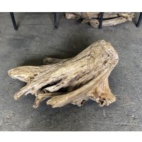 【特大流木】南信州産 源流淡水 天然流木（ 約６８×７１×３５cm）大型流木 特大流木 大きな流木 根流木
