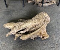 【特大流木】南信州産 源流淡水 天然流木（ 約６８×７１×３５cm）大型流木 特大流木 大きな流木 根流木