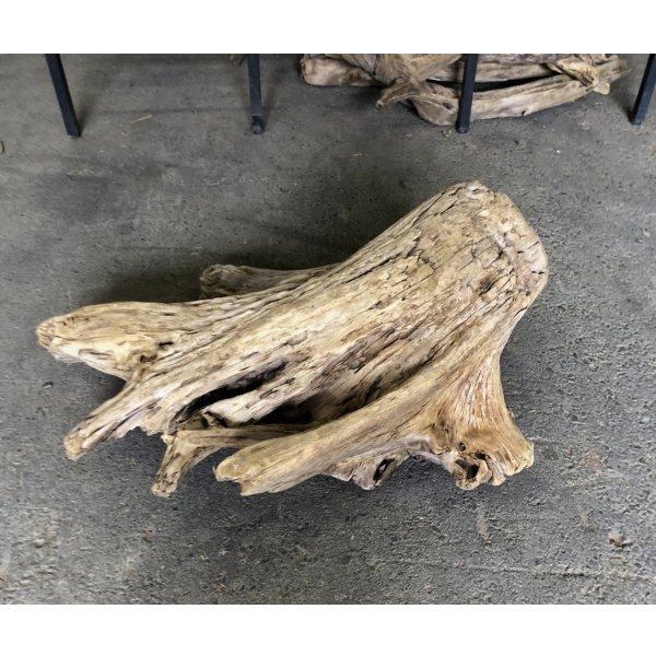 画像1: 【特大流木】南信州産 源流淡水 天然流木（ 約６８×７１×３５cm）大型流木 特大流木 大きな流木 根流木