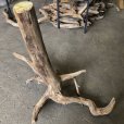 画像3: 【特大流木】南信州産 源流淡水 天然流木（ 約１１６×９６×５３cm）大型流木 根流木 特大流木 大きな流木 変形流木 (3)