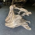 画像2: 【特選絶品】【特大流木】南信州産 源流淡水 天然流木（ 約９７×１０５×４０cm）大型流木 特大流木 大きな流木  根流木 (2)