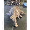 画像4: 【特大流木】南信州産 源流淡水 天然流木（ 約１０４×８６×５０cm）大型流木 特大流木 大きな流木  根流木 (4)