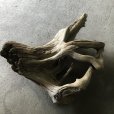 画像3: 【特選絶品】【特大流木】南信州産 源流淡水 天然流木（ 約９７×１０５×４０cm）大型流木 特大流木 大きな流木  根流木 (3)