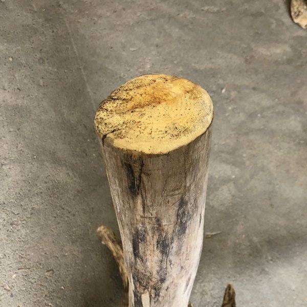 画像4: 【特大流木】南信州産 源流淡水 天然流木（ 約１１６×９６×５３cm）大型流木 根流木 特大流木 大きな流木 変形流木