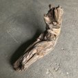 画像4: 【特大流木】南信州産 源流淡水 天然流木（ 約８８×１５３×２２cm）大型流木 特大流木 大きな流木   (4)