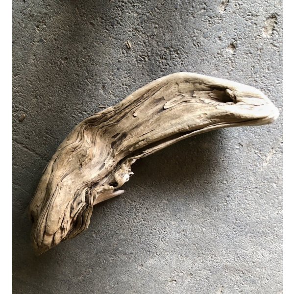 画像3: 【特大流木】南信州産 源流淡水 天然流木（ 約９３×２８×２４cm）大型流木 特大流木 大きな流木