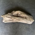 画像1: 【特大流木】南信州産 源流淡水 天然流木（ 約１０６×４５×２１cm）大型流木 特大流木 大きな流木  根流木 (1)