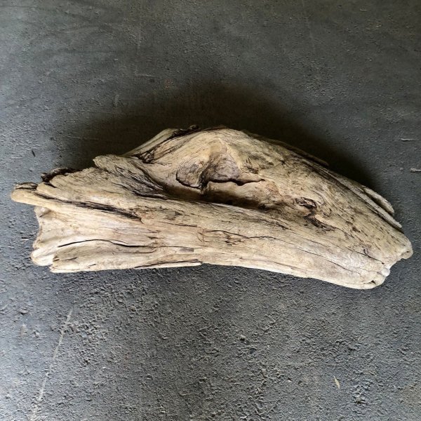 画像1: 【特大流木】南信州産 源流淡水 天然流木（ 約１０６×４５×２１cm）大型流木 特大流木 大きな流木  根流木