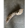 画像1: 【特大流木】南信州産 源流淡水 天然流木（ 約９３×２８×２４cm）大型流木 特大流木 大きな流木 (1)