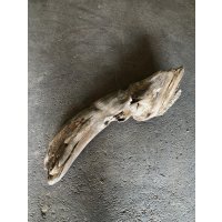 【特大流木】南信州産 源流淡水 天然流木（ 約９３×２８×２４cm）大型流木 特大流木 大きな流木