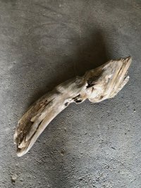 【特大流木】南信州産 源流淡水 天然流木（ 約９３×２８×２４cm）大型流木 特大流木 大きな流木