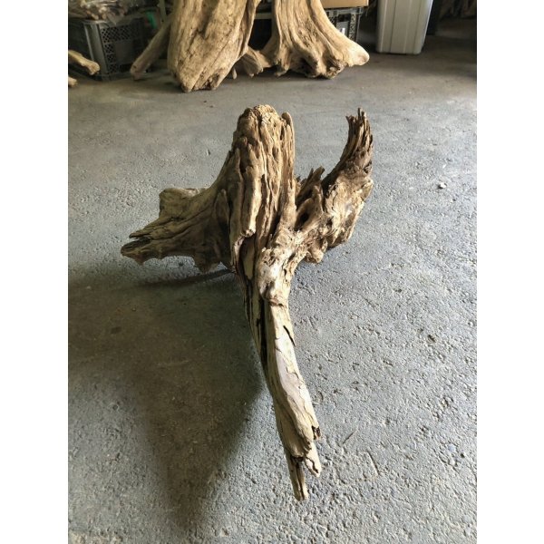 画像2: 【特大流木】南信州産 源流淡水 天然流木（ 約８０×６３×４５cm）大型流木 特大流木 大きな流木  根流木