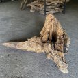 画像1: 【特大流木】南信州産 源流淡水 天然流木（ 約８０×６３×４５cm）大型流木 特大流木 大きな流木  根流木 (1)