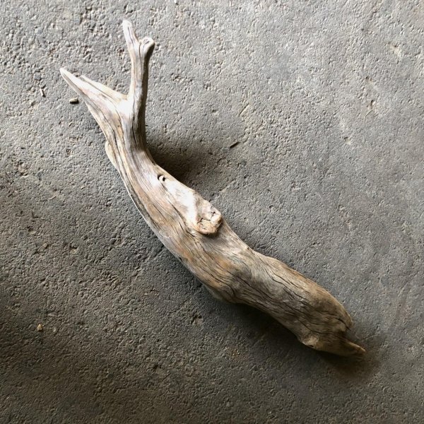 画像3: 【特大流木】南信州産 源流淡水 天然流木（ 約１１３×１０〜１５cm）大型流木 特大流木 大きな流木
