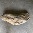 画像2: 【特大流木】南信州産 源流淡水 天然流木（ 約１０６×４５×２１cm）大型流木 特大流木 大きな流木  根流木 (2)
