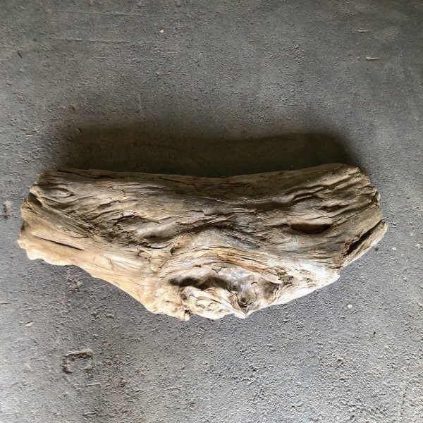 画像2: 【特大流木】南信州産 源流淡水 天然流木（ 約１０６×４５×２１cm）大型流木 特大流木 大きな流木  根流木