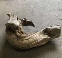 【絶品】【特大流木】南信州産 源流淡水 天然流木（ 約１１０×５０×８0cm）大型流木 根流木 特大流木 大きな流木 変形流木