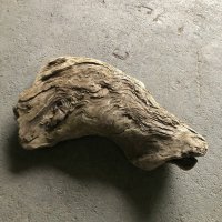【特選絶品】【特大流木】南信州産 源流淡水 天然流木（ 約８２×５２cm）大型流木 特大流木 大きな流木  