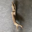 画像2: 【特大流木】南信州産 源流淡水 天然流木（ 約１１３×１０〜１５cm）大型流木 特大流木 大きな流木 (2)