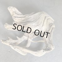【特選絶品】【特大流木】南信州産 源流淡水 天然流木（ 約９７×１０５×４０cm）大型流木 特大流木 大きな流木  根流木