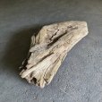画像4: 【特大流木】南信州産 源流淡水 天然流木（ 約１０６×４５×２１cm）大型流木 特大流木 大きな流木  根流木 (4)