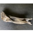画像1: 【特大流木】南信州産 源流淡水 天然流木（ 約１５１×３１×３２cm）大型流木 特大流木 大きな流木  根流木 (1)