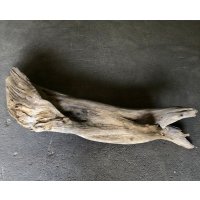 【特大流木】南信州産 源流淡水 天然流木（ 約１５１×３１×３２cm）大型流木 特大流木 大きな流木  根流木