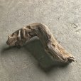 画像3: 【特大流木】南信州産 源流淡水 天然流木（ 約８８×１５３×２２cm）大型流木 特大流木 大きな流木   (3)