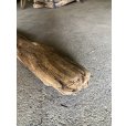 画像3: 【特大流木】南信州産 源流淡水 天然流木（ 約１１８×幅１０〜１５cm）大型流木 特大流木 大きな流木 (3)