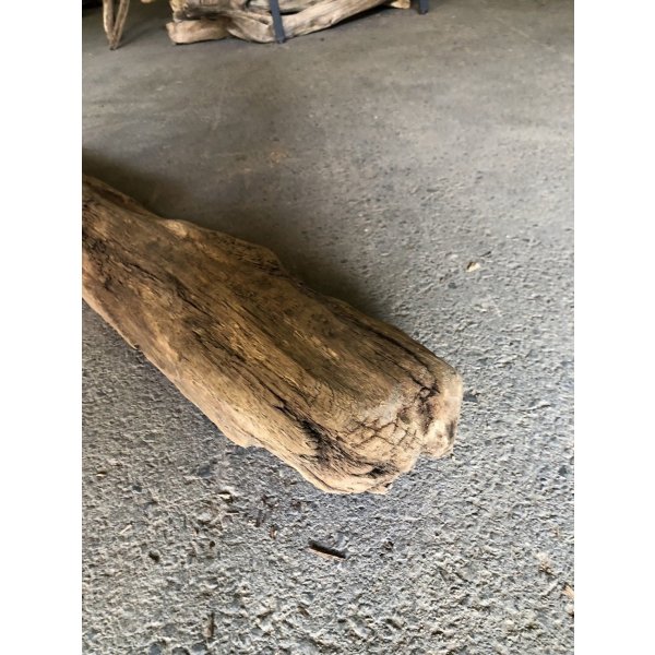 画像3: 【特大流木】南信州産 源流淡水 天然流木（ 約１１８×幅１０〜１５cm）大型流木 特大流木 大きな流木