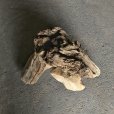 画像3: 【特選絶品】【特大流木】南信州産 源流淡水 天然流木（ 約５７×５８×３４cm）大型流木 特大流木 大きな流木 根流木 (3)
