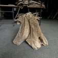 画像1: 【特選絶品】【特大流木】南信州産 源流淡水 天然流木（ 約５７×５８×３４cm）大型流木 特大流木 大きな流木 根流木 (1)