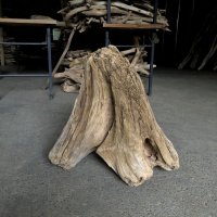 【特選絶品】【特大流木】南信州産 源流淡水 天然流木（ 約５７×５８×３４cm）大型流木 特大流木 大きな流木 根流木