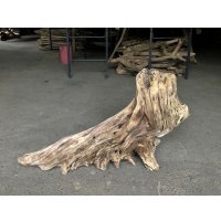 【特選絶品】【特大流木】南信州産 源流淡水 天然流木（ 約８３×４９cm）大型流木 特大流木 大きな流木 根流木