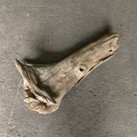 【特選絶品】【特大流木】南信州産 源流淡水 天然流木（ 約７２×４０×２０cm）大型流木 特大流木 大きな流木  