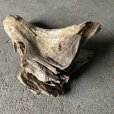 画像4: 【特選絶品】【特大流木】南信州産 源流淡水 天然流木（ 約７２×４０×２０cm）大型流木 特大流木 大きな流木   (4)