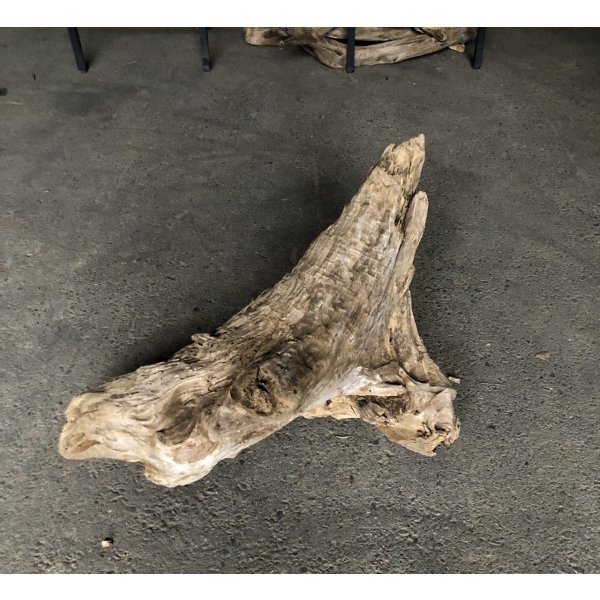 画像1: 【特選絶品】【特大流木】南信州産 源流淡水 天然流木（ 約７１×４４×３６cm）大型流木 特大流木 大きな流木 根流木