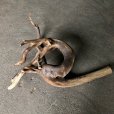 画像1: 【特選絶品】【特大流木】南信州産 源流淡水 天然流木（ 約１０５×８０×３９cm）大型流木 特大流木 大きな流木  枝分かれ 変形流木 (1)