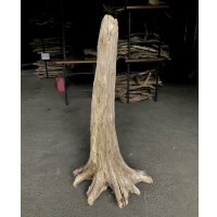 【特選絶品】【特大流木】南信州産 源流淡水 天然流木（ 約１０７×５０×３７cm）大型流木 特大流木 大きな流木  根流木