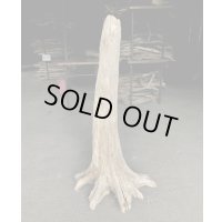 【特選絶品】【特大流木】南信州産 源流淡水 天然流木（ 約１０７×５０×３７cm）大型流木 特大流木 大きな流木  根流木