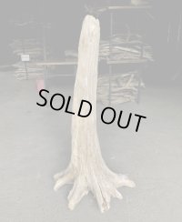 【特選絶品】【特大流木】南信州産 源流淡水 天然流木（ 約１０７×５０×３７cm）大型流木 特大流木 大きな流木  根流木