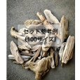 画像2: 【数量限定】天然流木 おまかせ いろいろ流木 お楽しみ箱詰めセット（60、80、100、120、140、160サイズ）【エアープランツ＆チランジア着床・学校教材・販売商材・流木インテリア】流木大量販売 流木通販 流木格安 流木大量セット 流木まとめ売り (2)