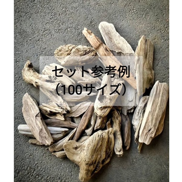 画像2: 【数量限定】天然流木 おまかせ いろいろ流木 お楽しみ箱詰めセット（60、80、100、120、140、160サイズ）【エアープランツ＆チランジア着床・学校教材・販売商材・流木インテリア】流木大量販売 流木通販 流木格安 流木大量セット 流木まとめ売り