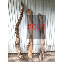 【希少・一点物（太め流木）】南信州産 天然流木 太い枝流木（淡水流木）【全長142〜176cm 幅6.6〜16.8cm】｜キャットタワー・爬虫類ケージ・インテリア・DIY素材などに最適
